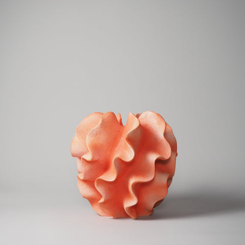 VASE SEA, KORALLE