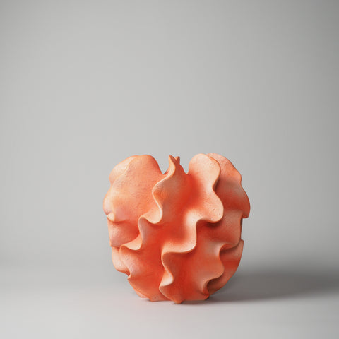 VASE SEA, KORALLE