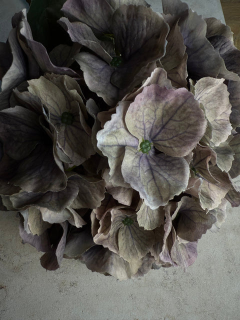 Ambienteway Botanique