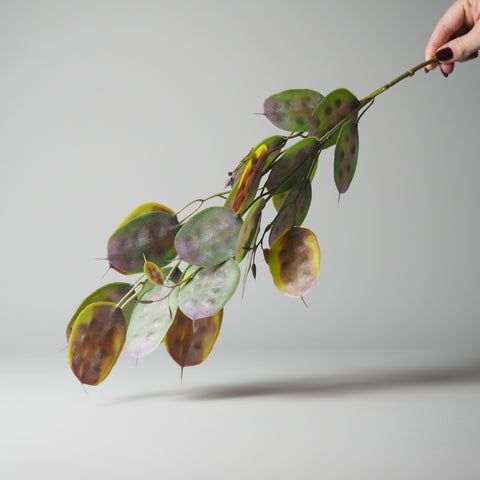 BLÄTTER-ZWEIG, GRÜN-BRAUN