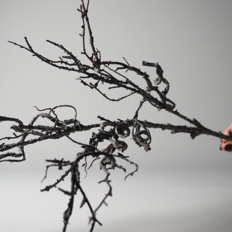 DEKO-AST, VERZWEIGT, DUNKELBRAUN