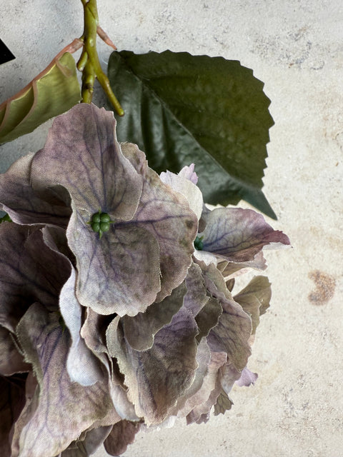 HORTENSIE, GRAU-FLIEDER, 3er-SET