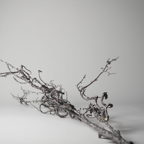 DEKO-AST, VERZWEIGT, DUNKELBRAUN