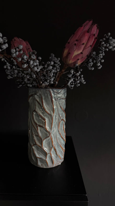 PROTEA CYNAROIDES, MALVE-BORDEAUX, 3er-SET
