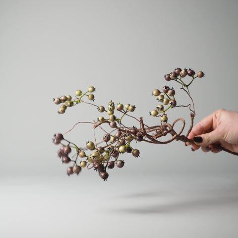 BEEREN-ZWEIG, GRÜN-BRAUN