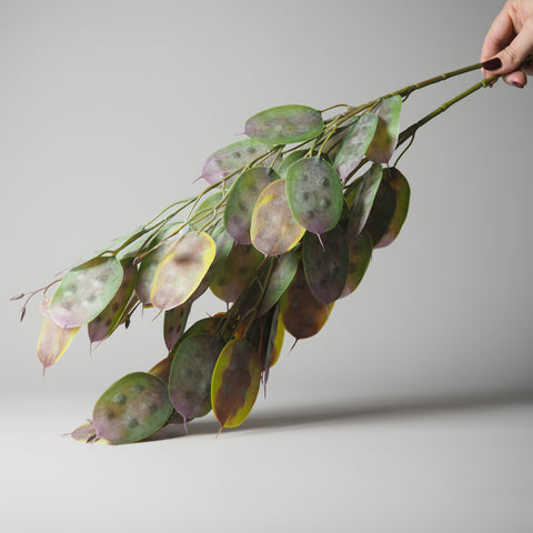 BLÄTTER-ZWEIG, GRÜN-BRAUN