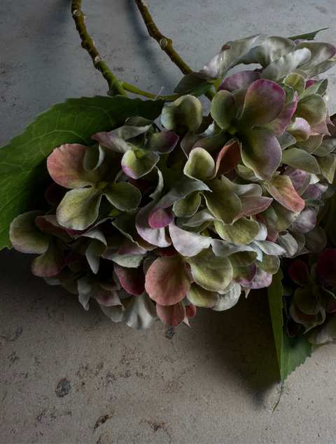 HORTENSIE, GRÜN-BORDEAUX, 3er-SET