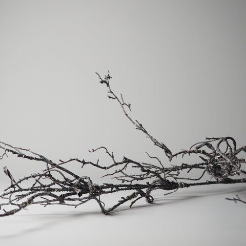 DEKO-AST, VERZWEIGT, DUNKELBRAUN