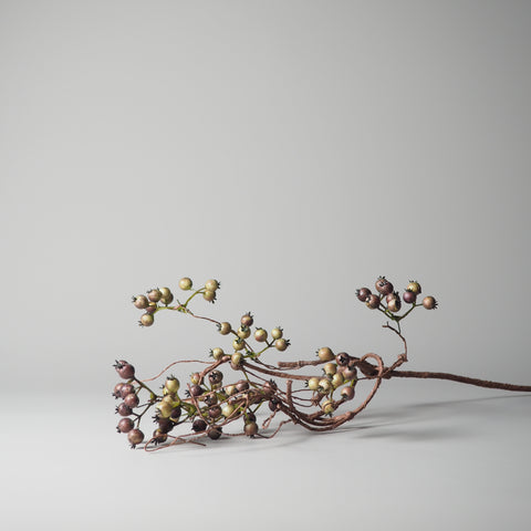 BEEREN-ZWEIG, GRÜN-BRAUN