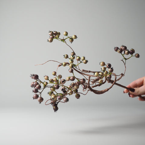 BEEREN-ZWEIG, GRÜN-BRAUN