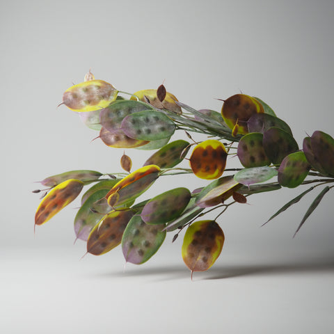 BLÄTTER-ZWEIG, GRÜN-BRAUN