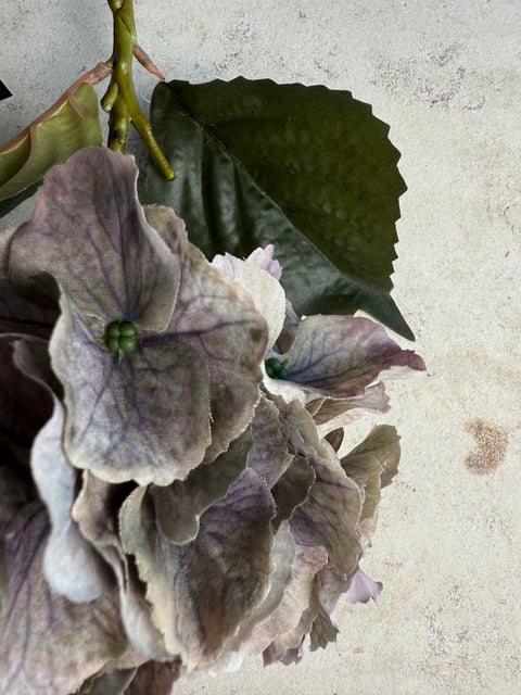 HORTENSIE, GRAU-FLIEDER, 3er-SET