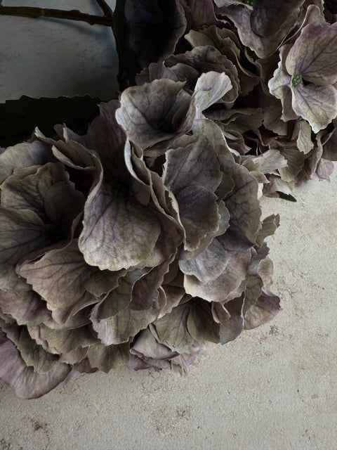 HORTENSIE, GRAU-FLIEDER, 3er-SET